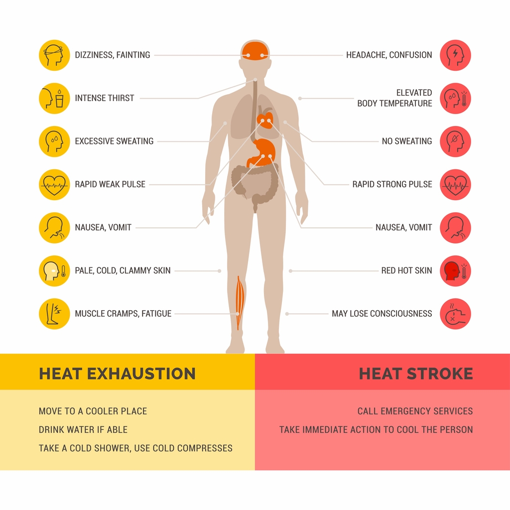 Heat Stress vs Heat Stroke